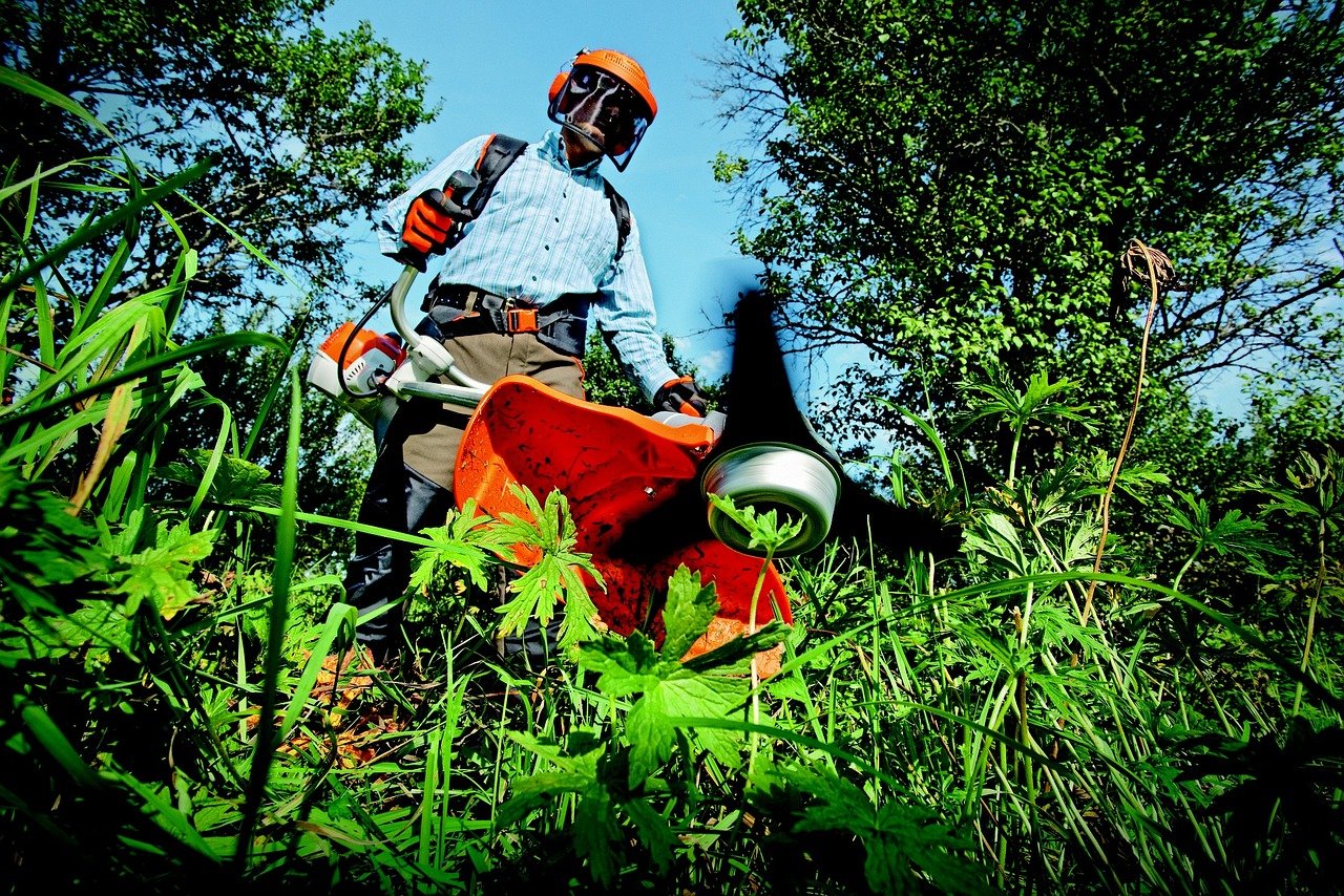 garden, grass cutter, gardening, nature, grass, man, outdoors, person, tools, gardener, green grass, gardening, gardening, gardening, gardener, gardener, gardener, gardener, gardener