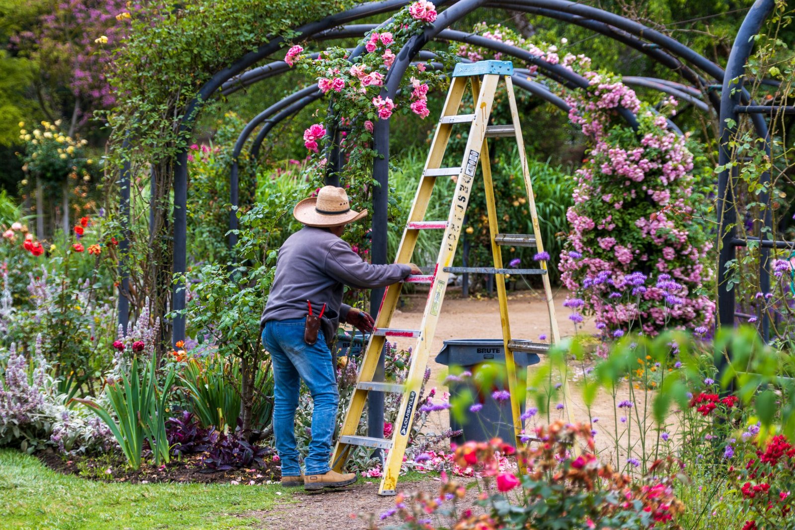 Transform your outdoor space: Custom Landscaping Services.